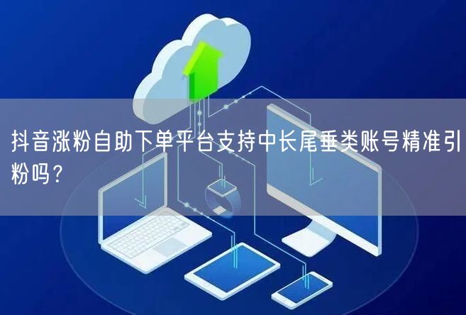 抖音涨粉自助下单平台支持中长尾垂类账号精准引粉吗？