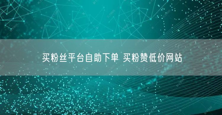 买粉丝平台自助下单 买粉赞低价网站