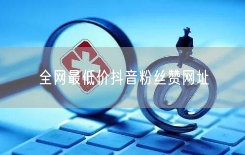 全网最低价抖音粉丝赞网址