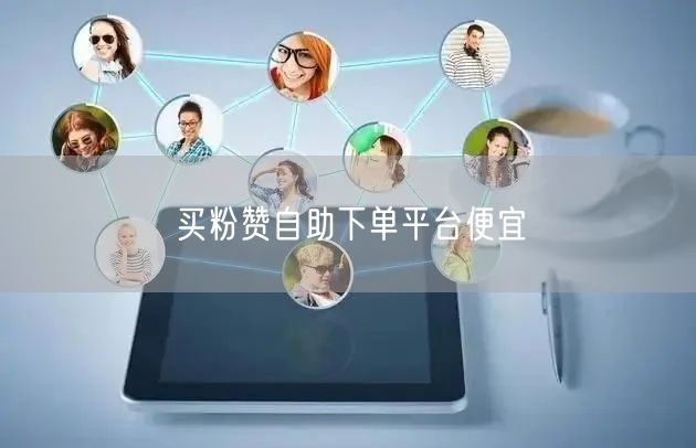 买粉赞自助下单平台便宜
