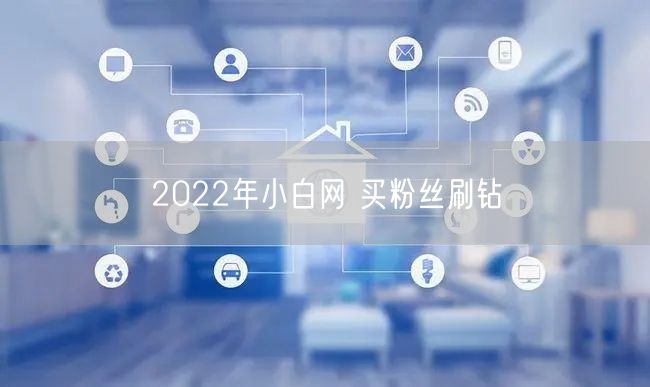 2022年小白网 买粉丝刷钻