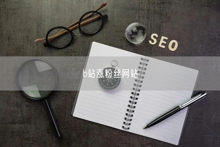 b站涨粉丝网站