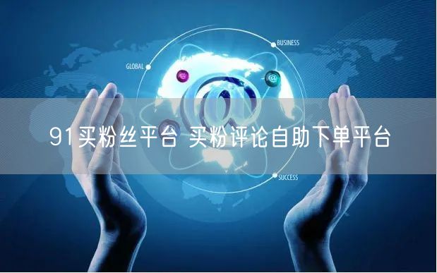 91买粉丝平台 买粉评论自助下单平台
