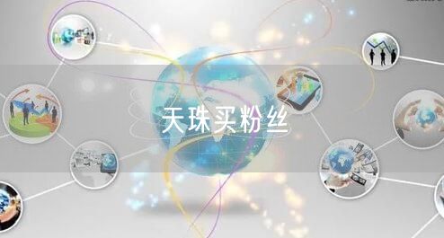天珠买粉丝