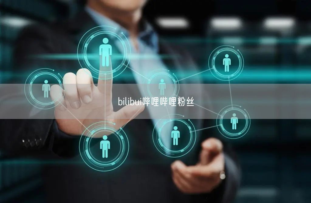 bilibui哔哩哔哩粉丝