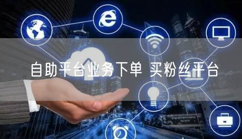 自助平台业务下单 买粉丝平台