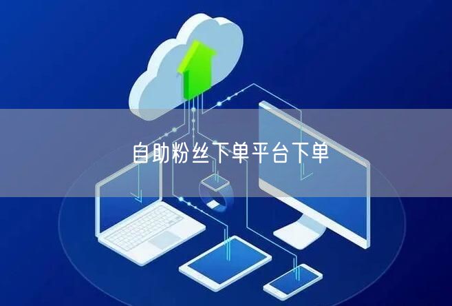 自助粉丝下单平台下单