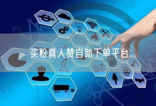 买粉真人赞自助下单平台