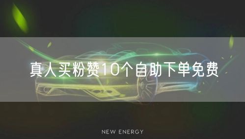 真人买粉赞10个自助下单免费