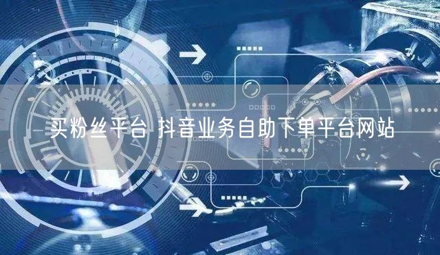 买粉丝平台 抖音业务自助下单平台网站