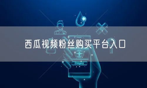 西瓜视频粉丝购买平台入口