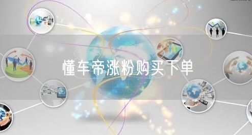 懂车帝涨粉购买下单