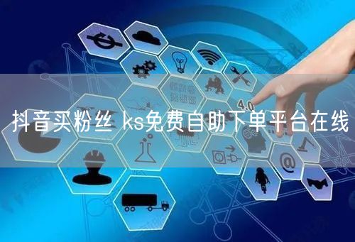抖音买粉丝 ks免费自助下单平台在线