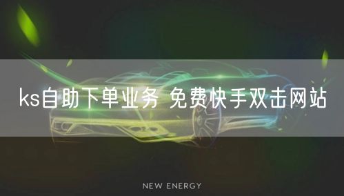 ks自助下单业务 免费快手双击网站