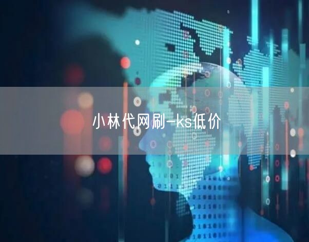 小林代网刷-ks低价
