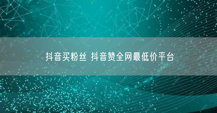 抖音买粉丝 抖音赞全网最低价平台
