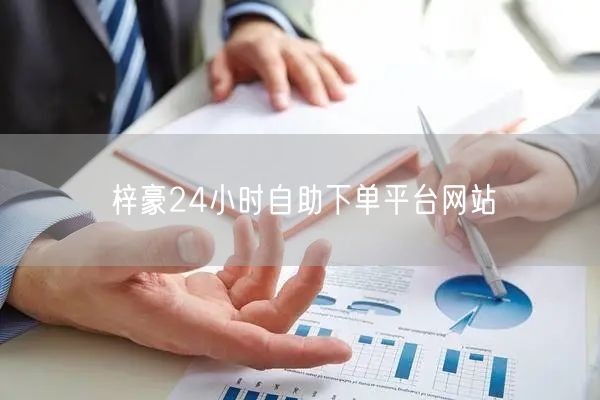 梓豪24小时自助下单平台网站