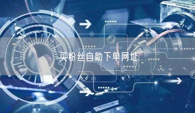 买粉丝自助下单网址