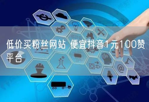 低价买粉丝网站 便宜抖音1元100赞平台