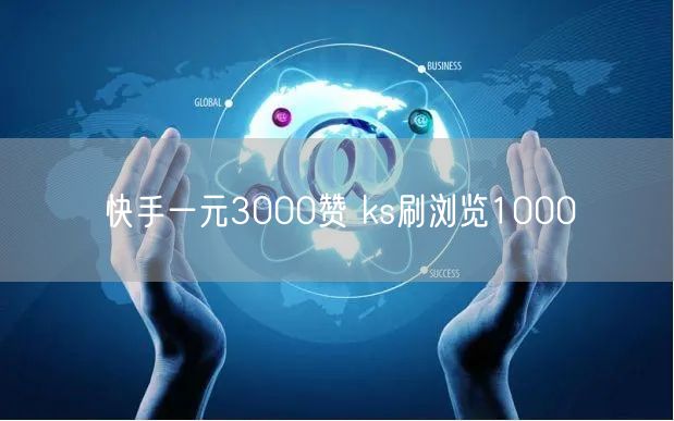 快手一元3000赞 ks刷浏览1000