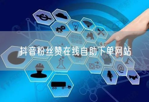 抖音粉丝赞在线自助下单网站