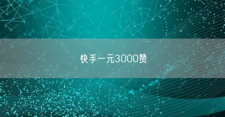 快手一元3000赞