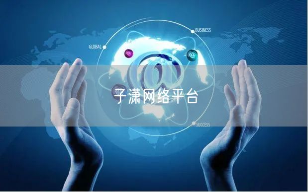 子潇网络平台