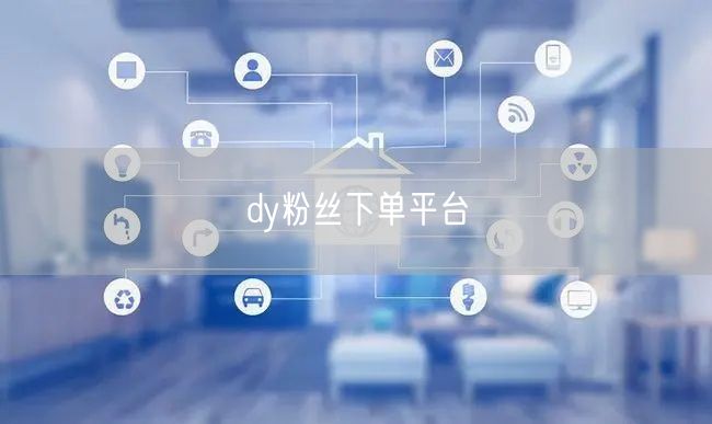 dy粉丝下单平台