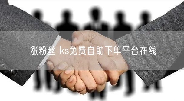 涨粉丝 ks免费自助下单平台在线