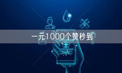 一元1000个赞秒到