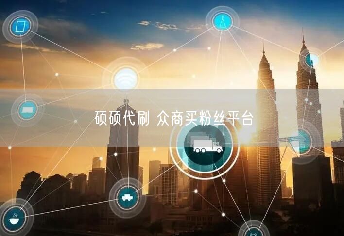 硕硕代刷 众商买粉丝平台