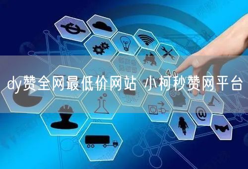 dy赞全网最低价网站 小柯秒赞网平台