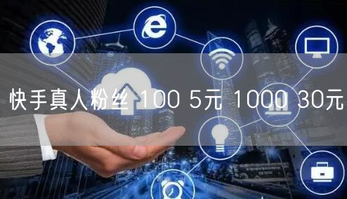 快手真人粉丝 100 5元 1000 30元