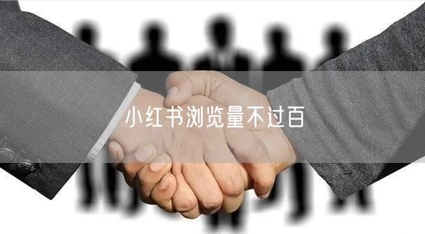 小红书浏览量不过百