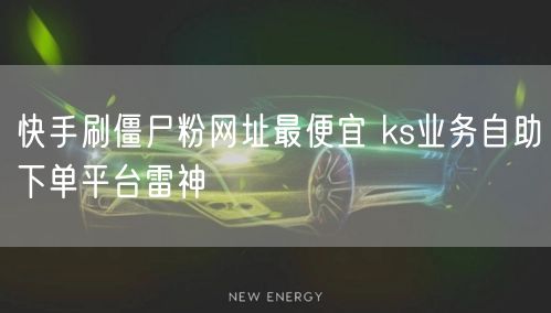 快手刷僵尸粉网址最便宜 ks业务自助下单平台雷神