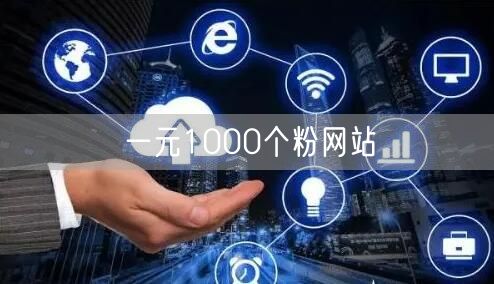 一元1000个粉网站