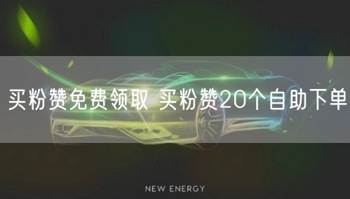 买粉赞免费领取 买粉赞20个自助下单