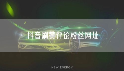 抖音刷赞评论粉丝网址