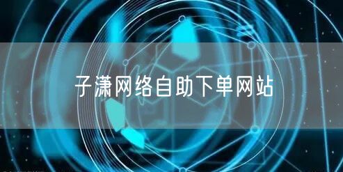 子潇网络自助下单网站