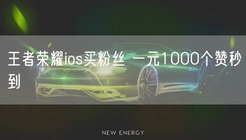 王者荣耀ios买粉丝 一元1000个赞秒到