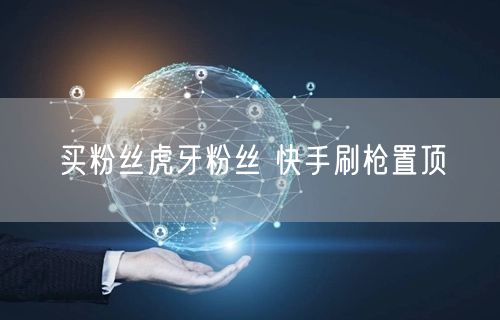 买粉丝虎牙粉丝 快手刷枪置顶