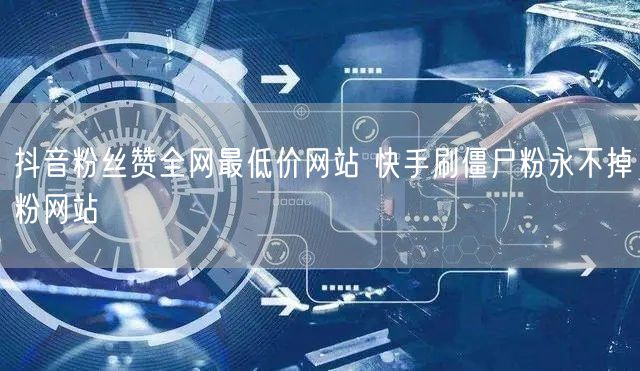 抖音粉丝赞全网最低价网站 快手刷僵尸粉永不掉粉网站